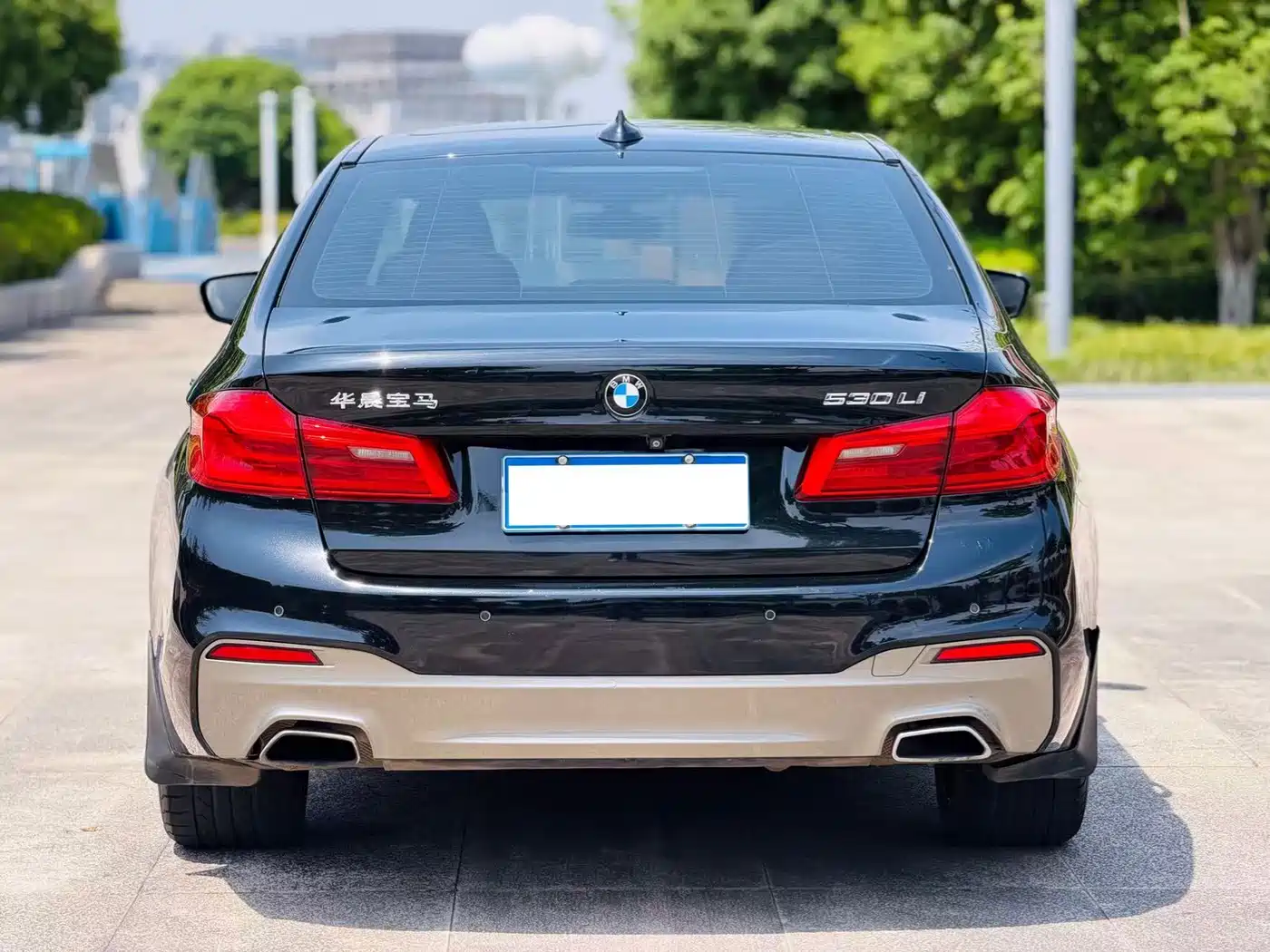 BMW 5 Series 2018 530Li Premium M Sport Package фото 8