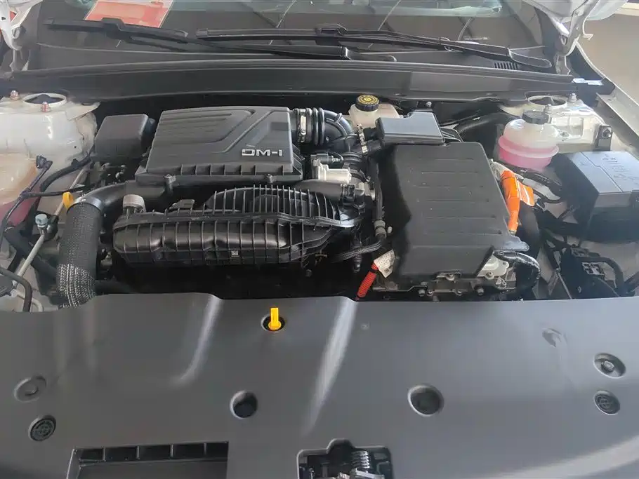 BYD Qin PLUS 2023 Champion Edition DM-i 55KM Leading фото 10