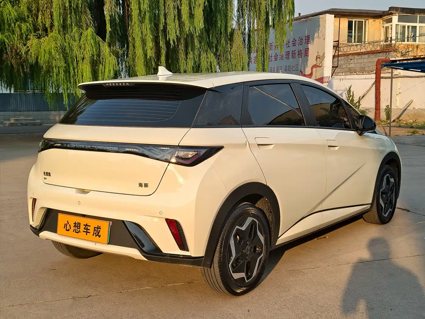 Photo 3 - BYD Dolphin