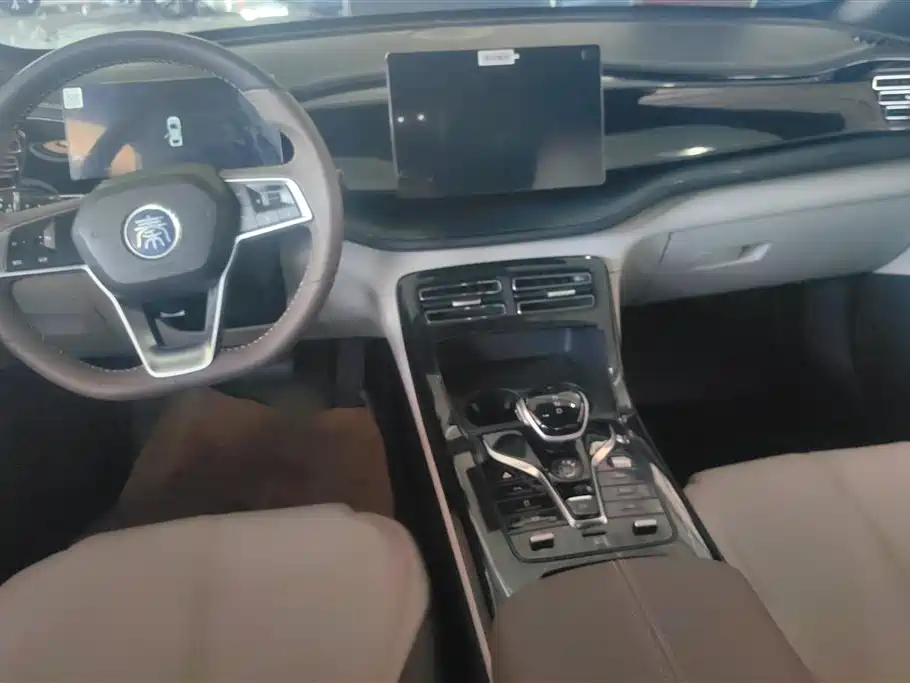 BYD Qin PLUS 2023 Champion Edition DM-i 55KM Leading фото 12