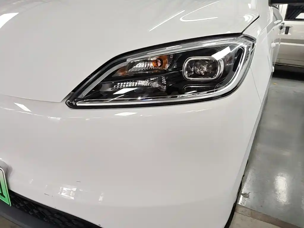 Wuling Motors Wuling Hongguang New Energy 2025 2024 Pure Electric 300KM Standard