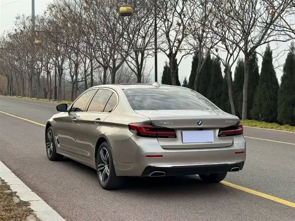 BMW 5 Series 2022 530Li Leading Luxury Package фото 4