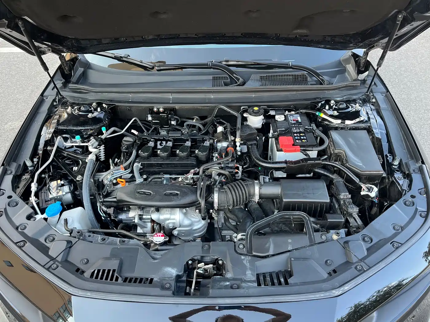 Honda Accord 2025 2025 260TURBO Premium Edition