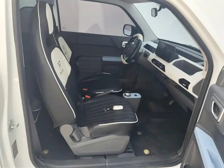 Geely Galaxy Panda 2024 Panda mini 200km Endurance Bear фото 8