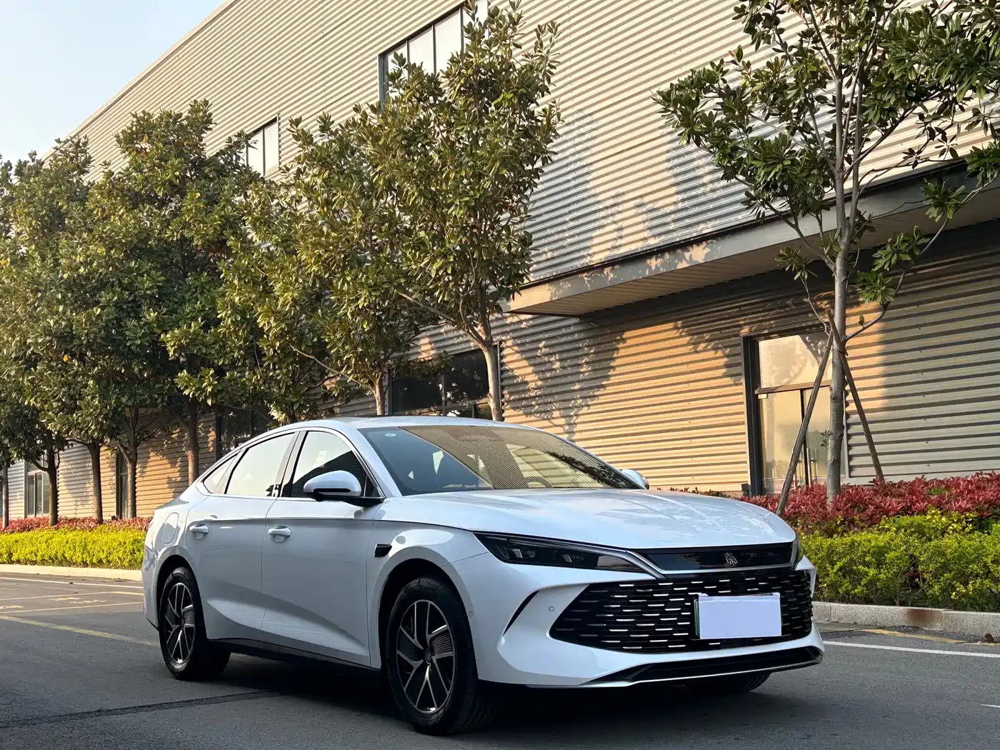 BYD Qin L 2025 DM-i Smart Drive Edition 120KM Surpassing фото 2