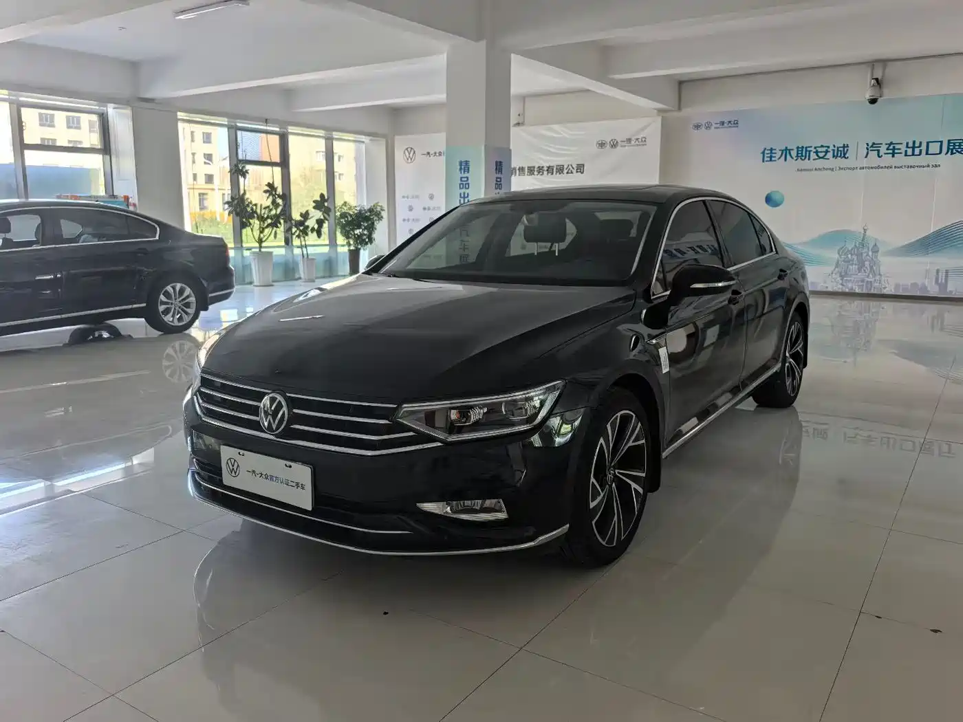 Volkswagen Magotan 2021 330TSI DSG 30th Anniversary Edition