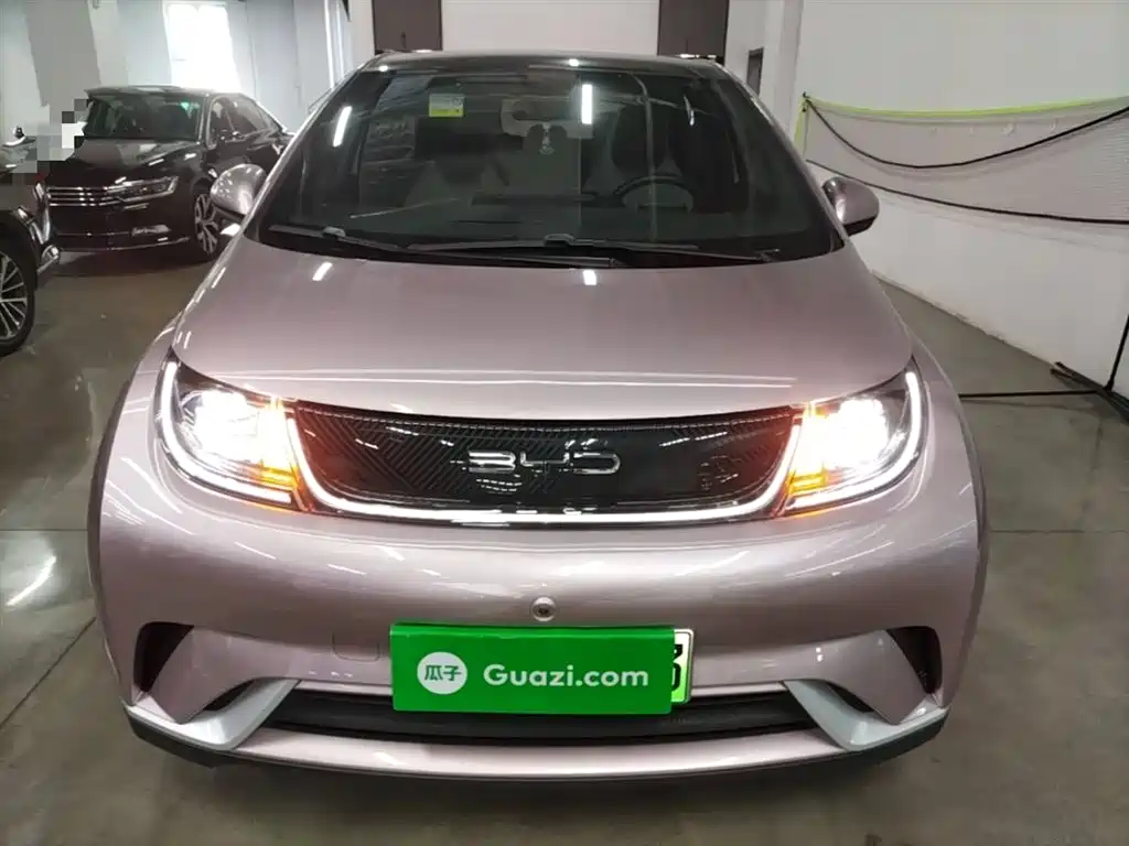 BYD Dolphin 2021 Model 405km Fashion Edition фото 3