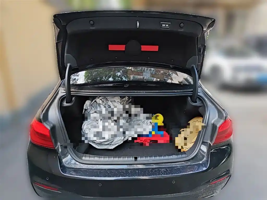 BMW 5 Series 2019 530Li Leading M Sport Package фото 10