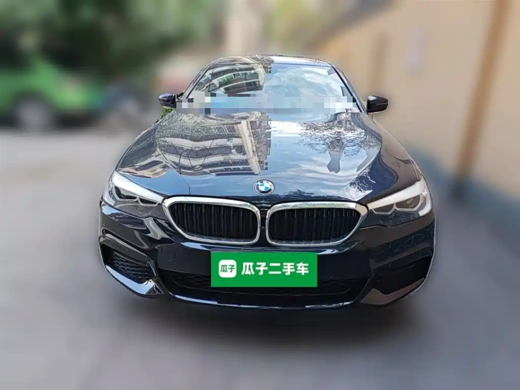 BMW 5 Series 2019 530Li Leading M Sport Package фото 24