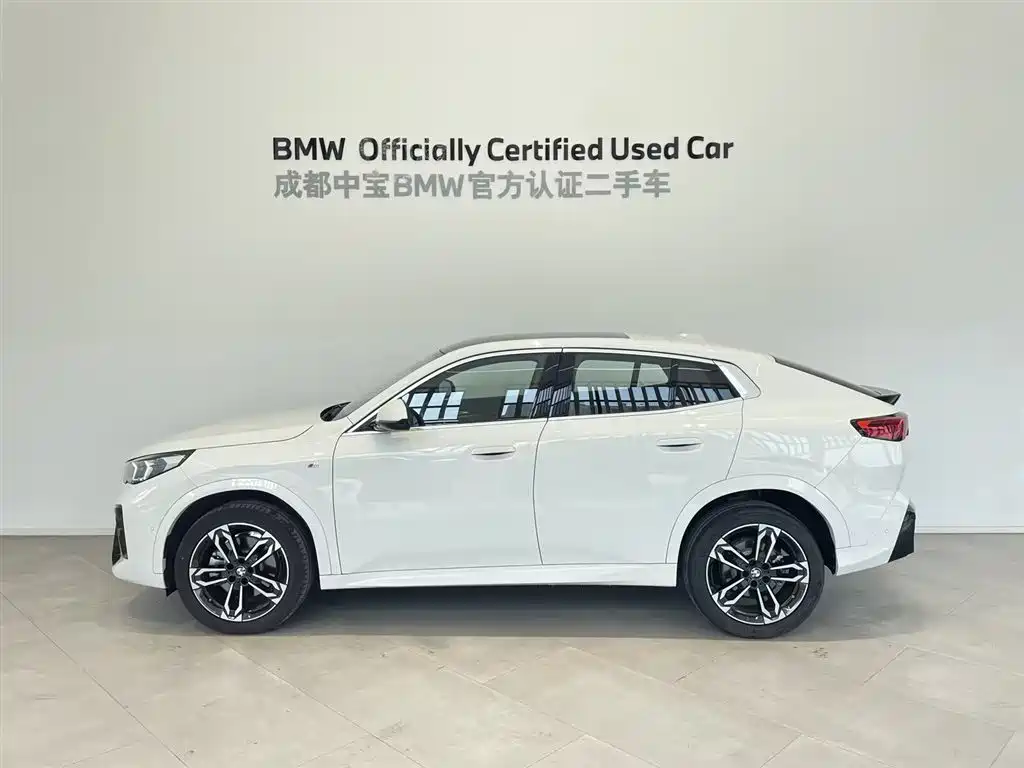 BMW X2 (Import) 2024 sDrive25i M Sport Package фото 2