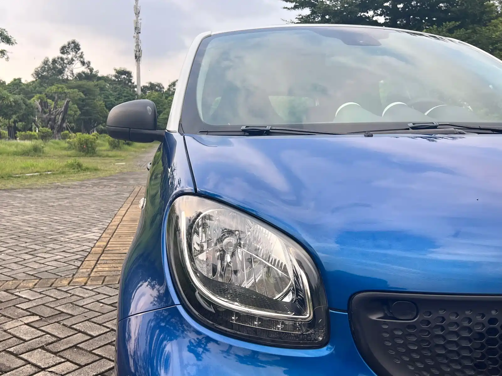 Фото 6 - smart forfour