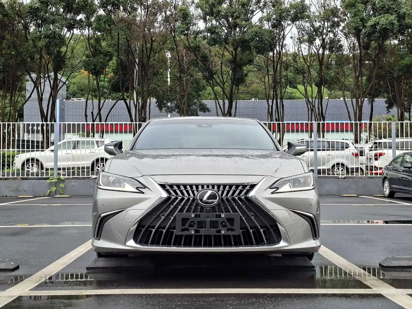 Lexus ES 2023 200 Excellence Edition фото 4