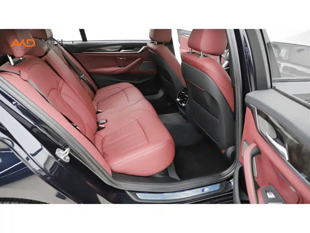 BMW 5 Series 2019 Facelift 530Li Premium M Sport Package фото 8