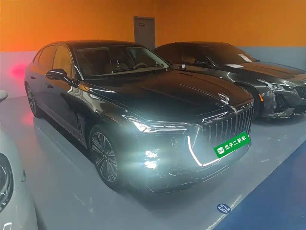 Hongqi H9 2024 2.0T Qi Enjoy Private Fashion Edition фото 4
