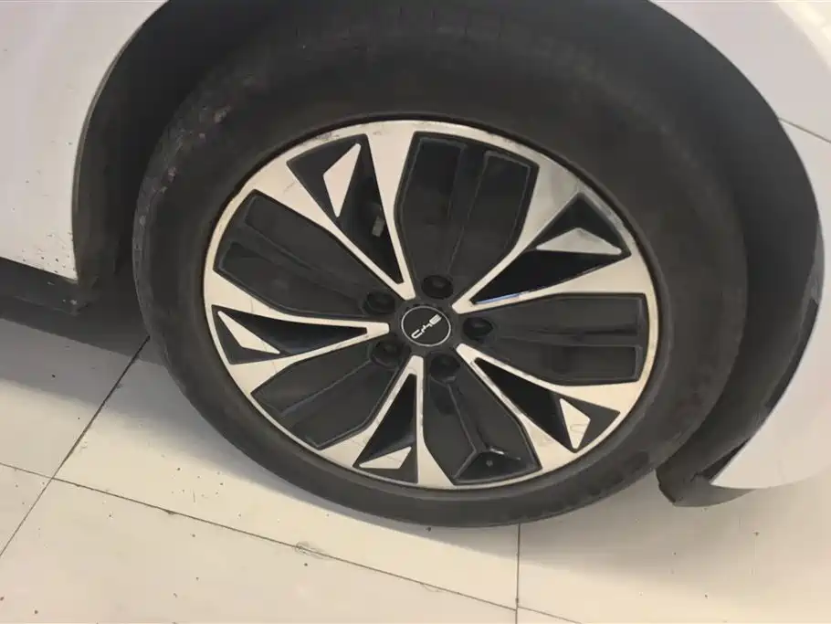 BYD Seal 2023 Champion Edition 550km Premium фото 6