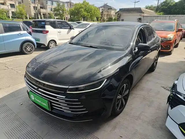 BYD Destroyer 05 2024