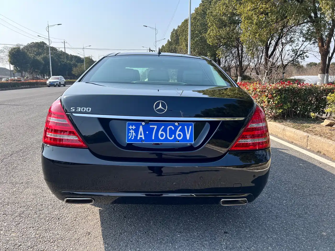 Mercedes-Benz S-Class 2008 S 300 L Premium фото 5