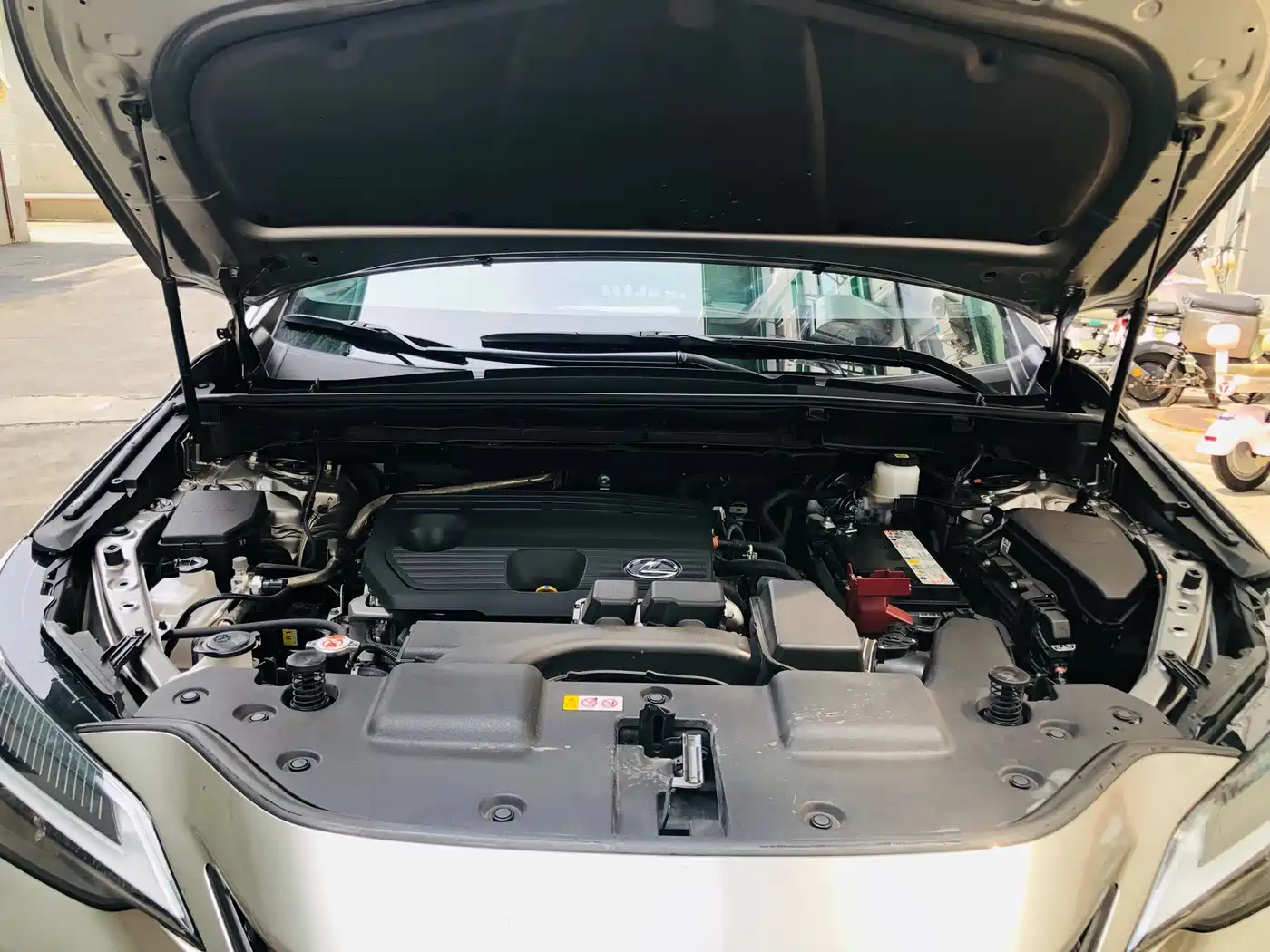 Lexus NX 2023 2023 260 FWD Dynamic Edition