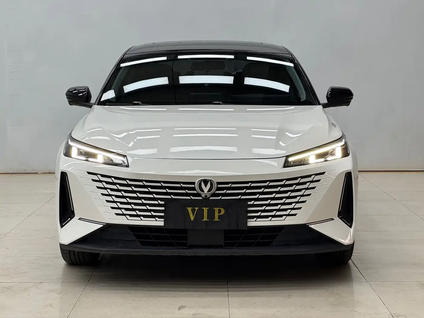 Changan Yida 2024 2023 Blue Whale NE 1.5T GDI DCT Exclusive