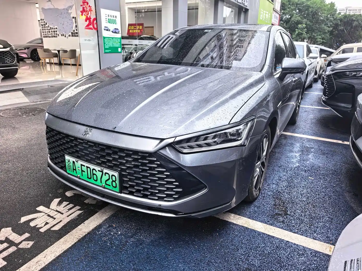 BYD Qin PLUS 2021 DM-i 55KM Flagship