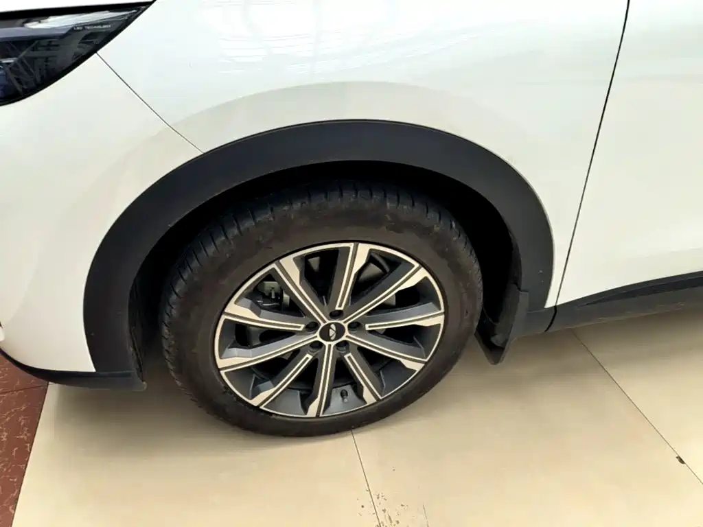Chery Fengyun Fengyun T9 2025 2025 120 Long Range Premium 5-seater LFP