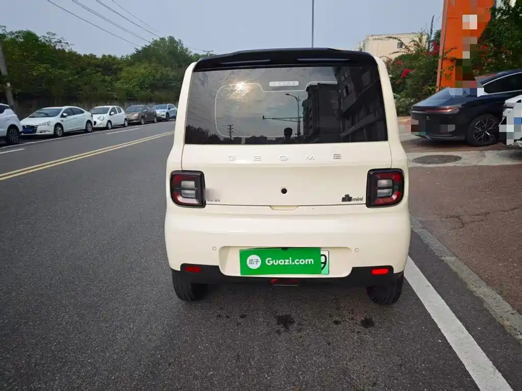 Фото 6 - Geely Galaxy Panda