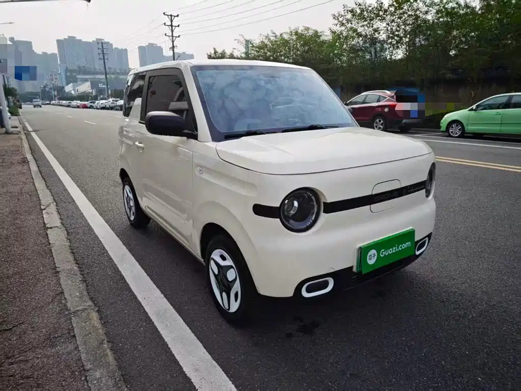 Фото 4 - Geely Galaxy Panda