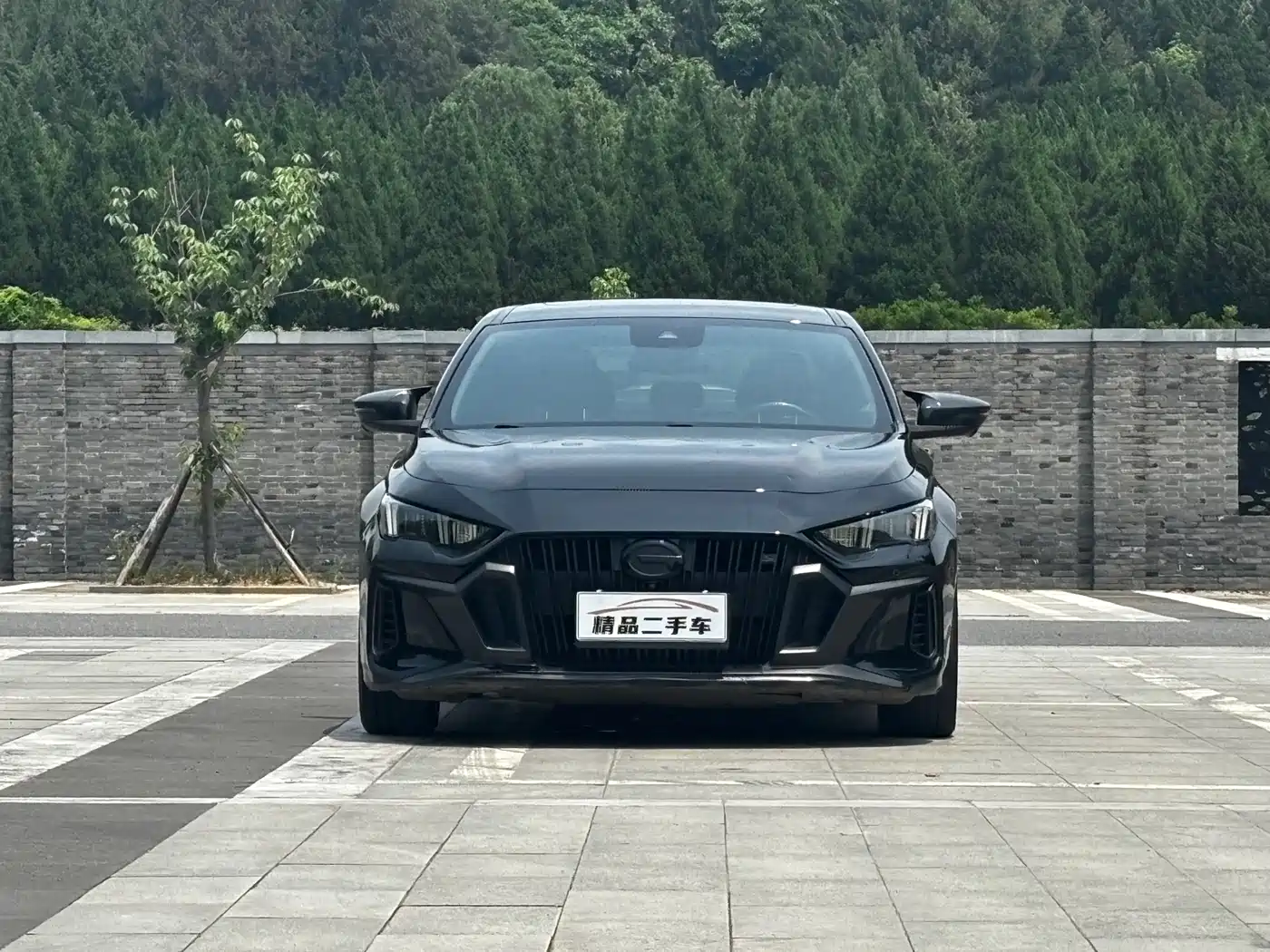 GAC Trumpchi Trumpchi Emkoo 2021 270T DCT J11 Edition фото 2