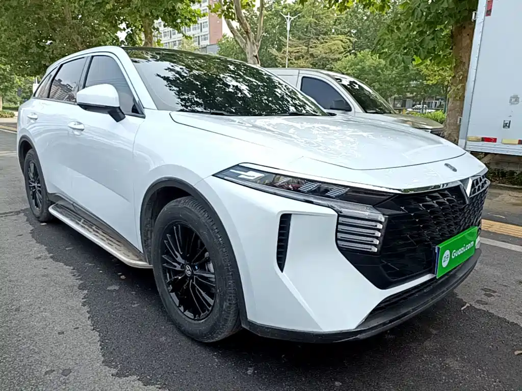 2024 Venucia Big V