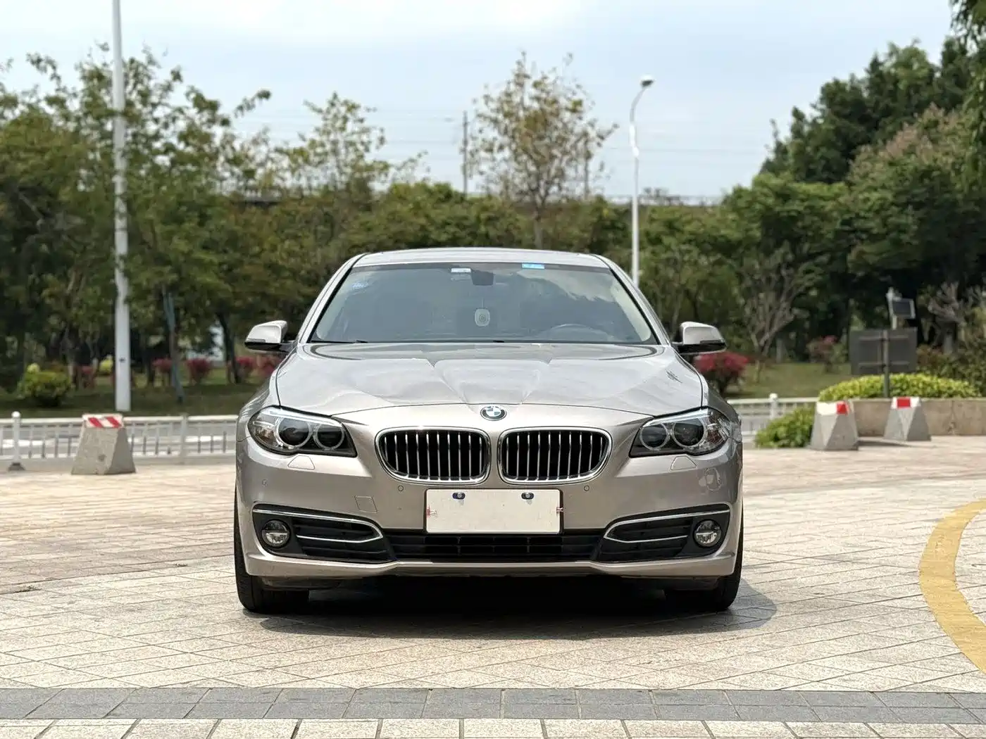 BMW 5 Series 2014 525Li Luxury Design Package фото 2