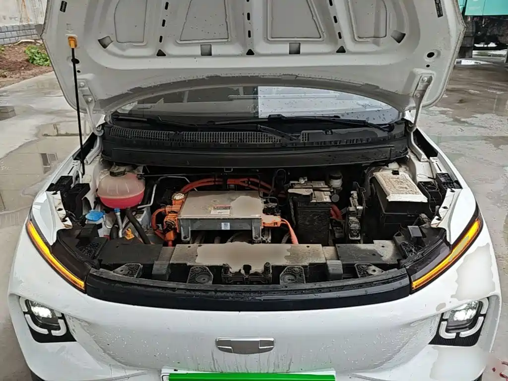 Geely Geometry E Firefly 2024 2024 Model 301km Light Flow