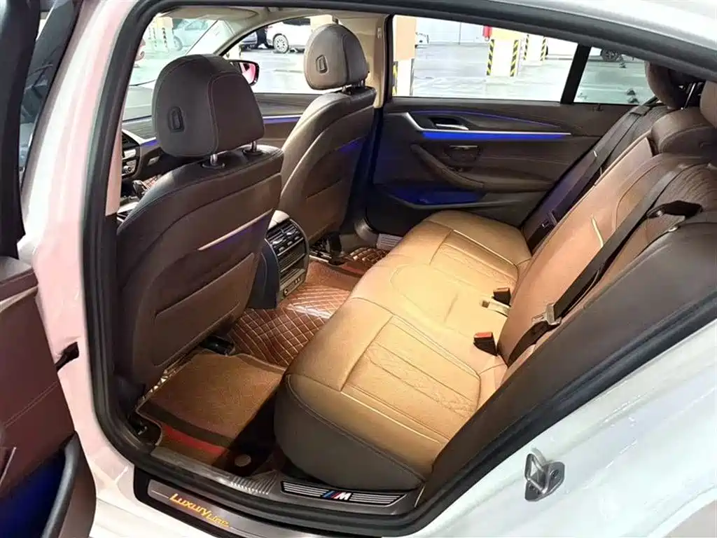 BMW 5 Series 2021 530Li xDrive Luxury Package фото 4