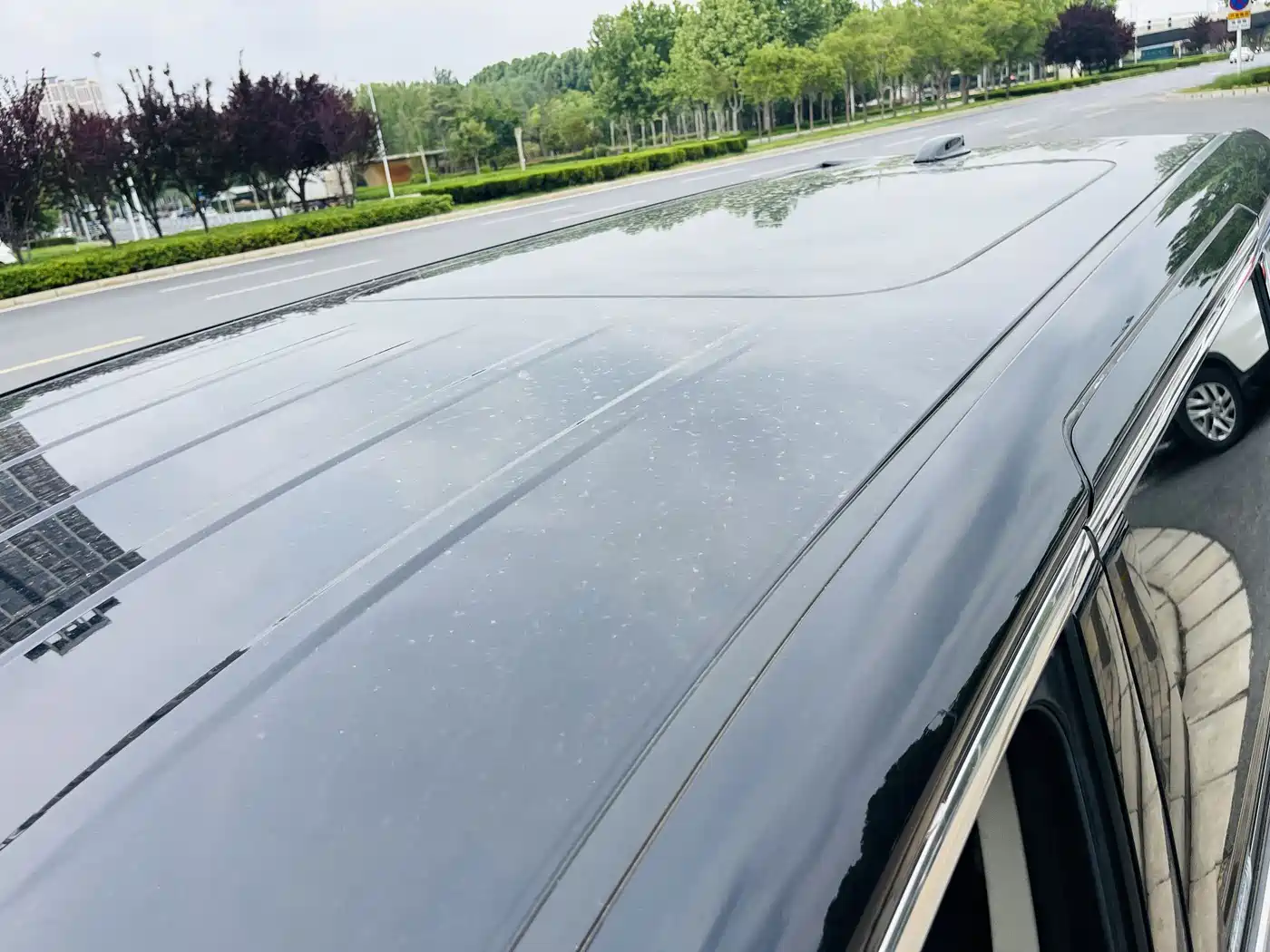 Hongqi HQ9 2023 2.0T Smart Connect Flag Enjoy Edition фото 34