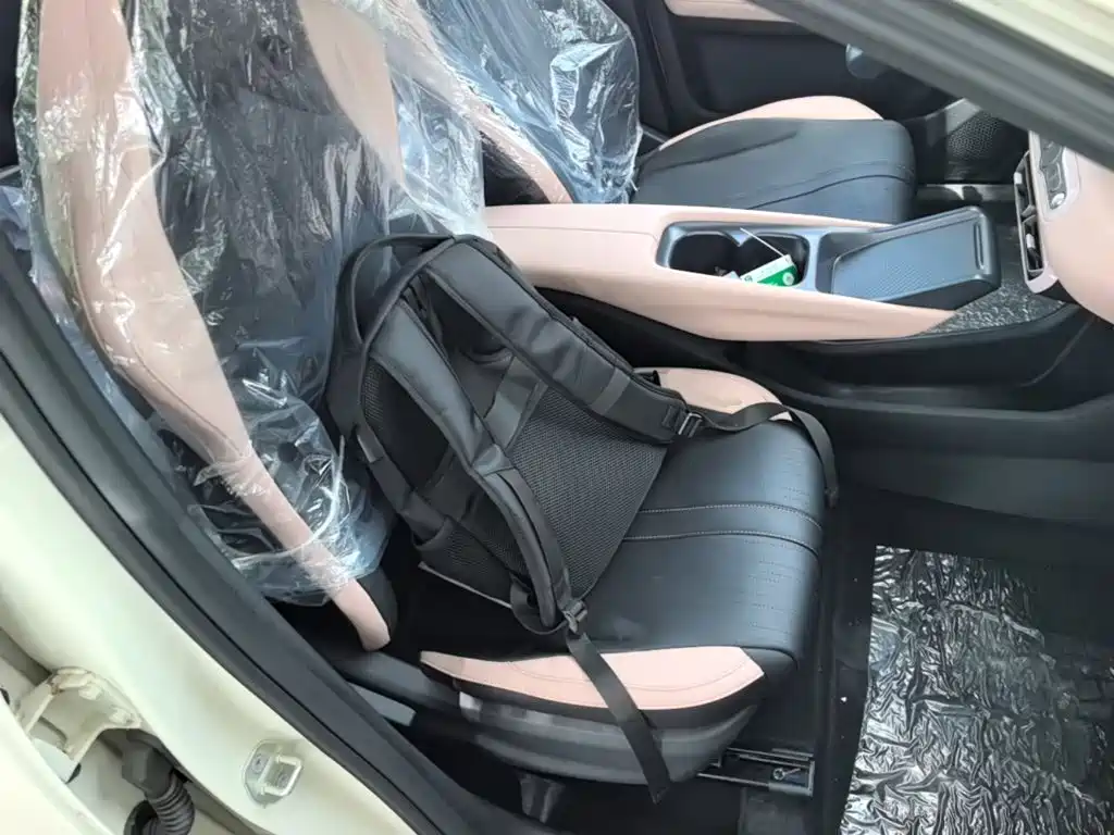 BYD Seagull 2026 2025 Smart Drive Edition 305km Vitality Version