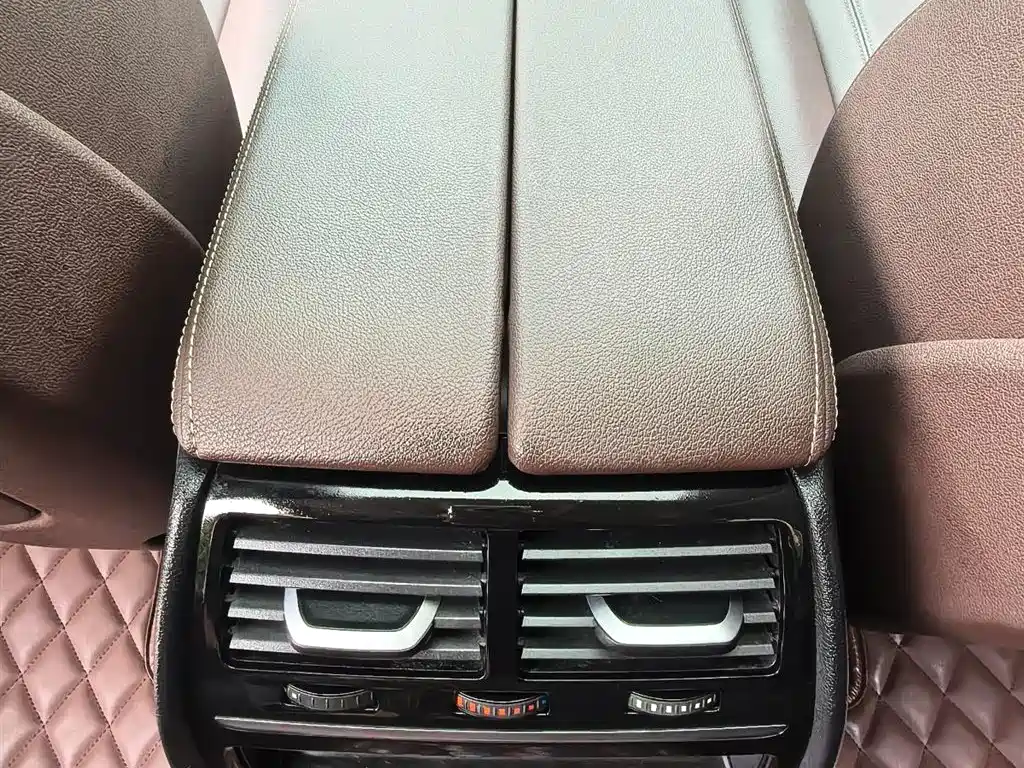 BMW 5 Series 2020 525Li Luxury Package фото 13