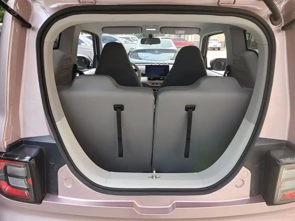 Geely Galaxy Panda 2025 Panda mini 210km Vitality Bear фото 19