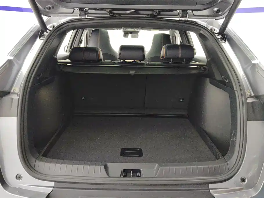 BYD Song PLUS PHEV 2021 DM-i 51KM Honor фото 4