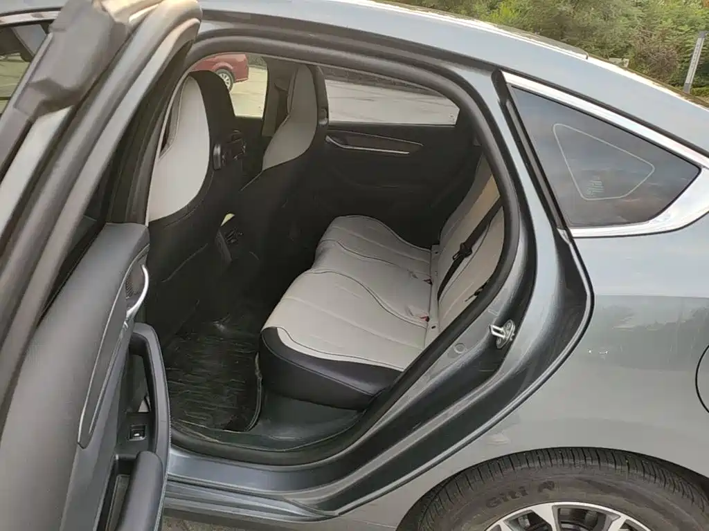 BYD Destroyer 05 2024 2023 Champion Edition DM-i 55KM Luxury