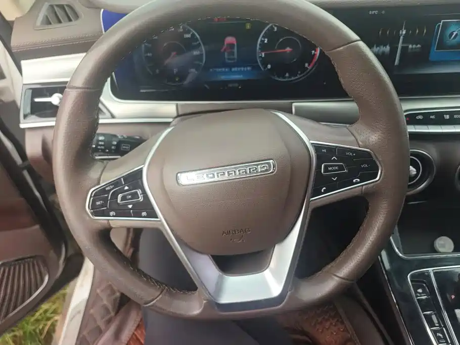 Leopaard Mattu 2020 2018 1.6T GDI DCT Luxury