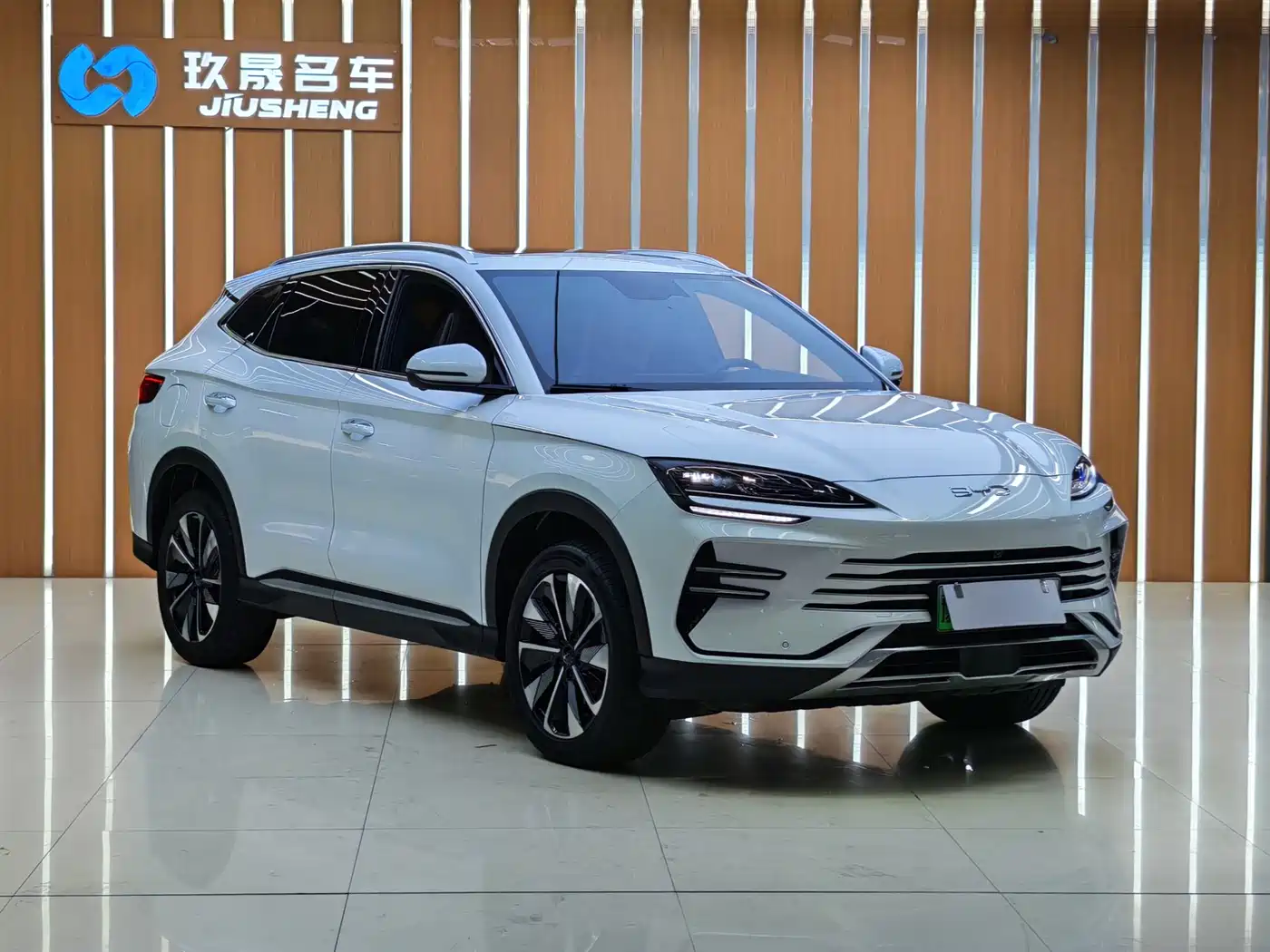 BYD SONGJIANG NEW ENERGY