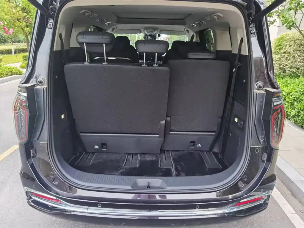 Hongqi HQ9 PHEV 2024 Model 2.0T AWD Luxury Edition фото 5