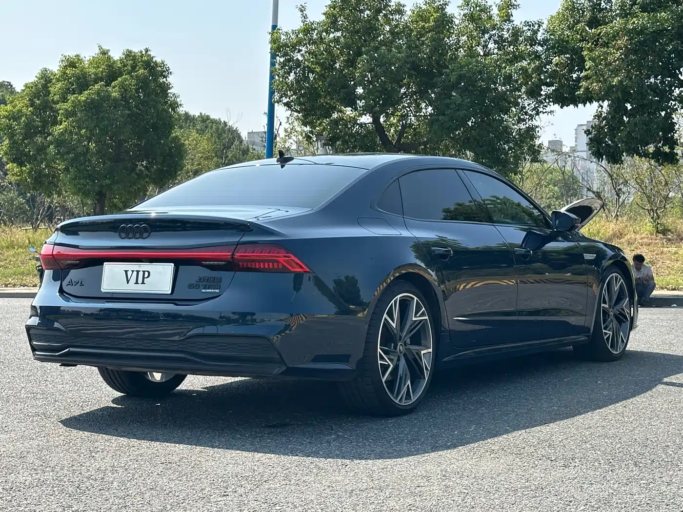 Audi A7L 2022 2022 55 TFSI quattro S-line edition one Pioneer Edition