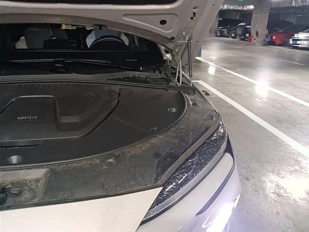 BYD Song PLUS PHEV 2023 Champion Edition DM-i 150KM Flagship PLUS фото 24