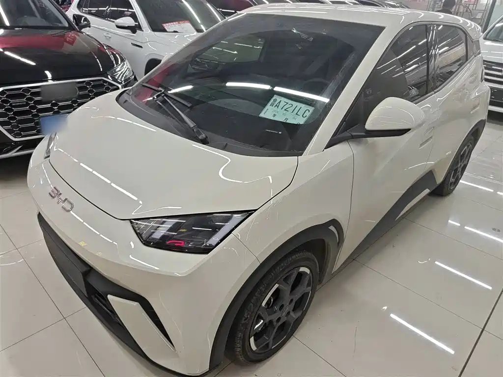 BYD Seagull 2025 305km Freedom фото 2