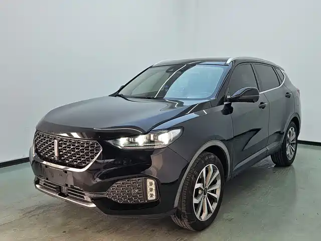 WEI PAI WEI BRAND VV6