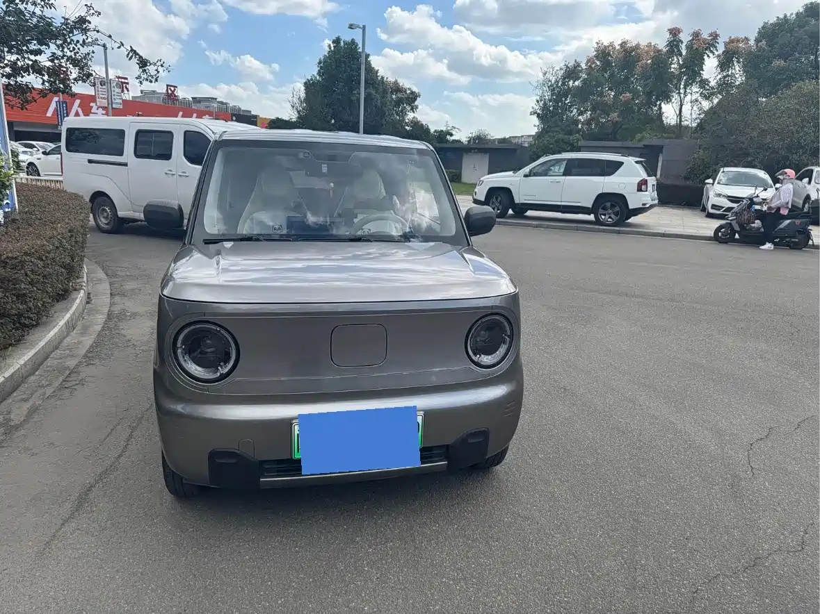 Geely Galaxy Panda 2024 — пригон из Китая