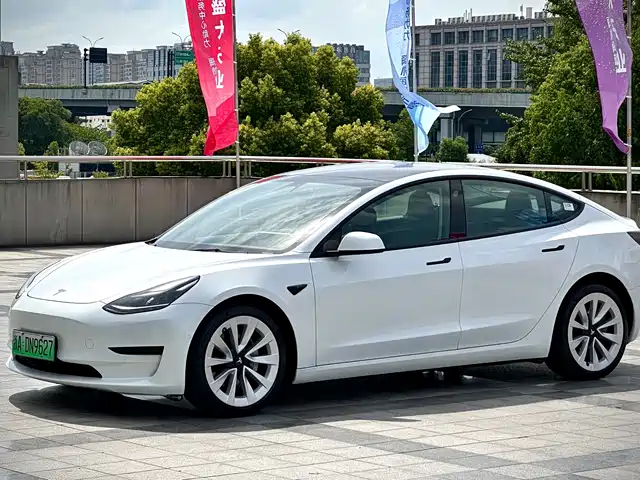 Tesla Model 3 2021