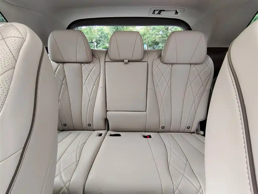 Denza D9 2022 DM-i 970 All-Wheel Drive Honor Edition фото 9
