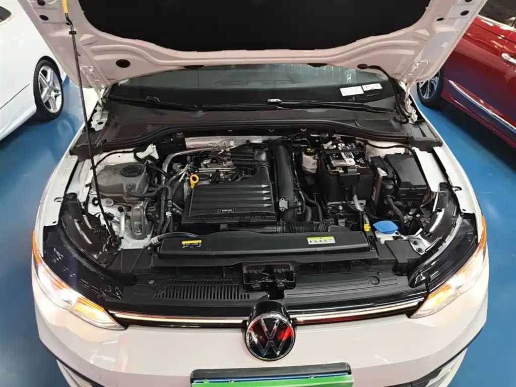 Volkswagen Golf 2021 280TSI DSG 30th Anniversary Edition фото 20