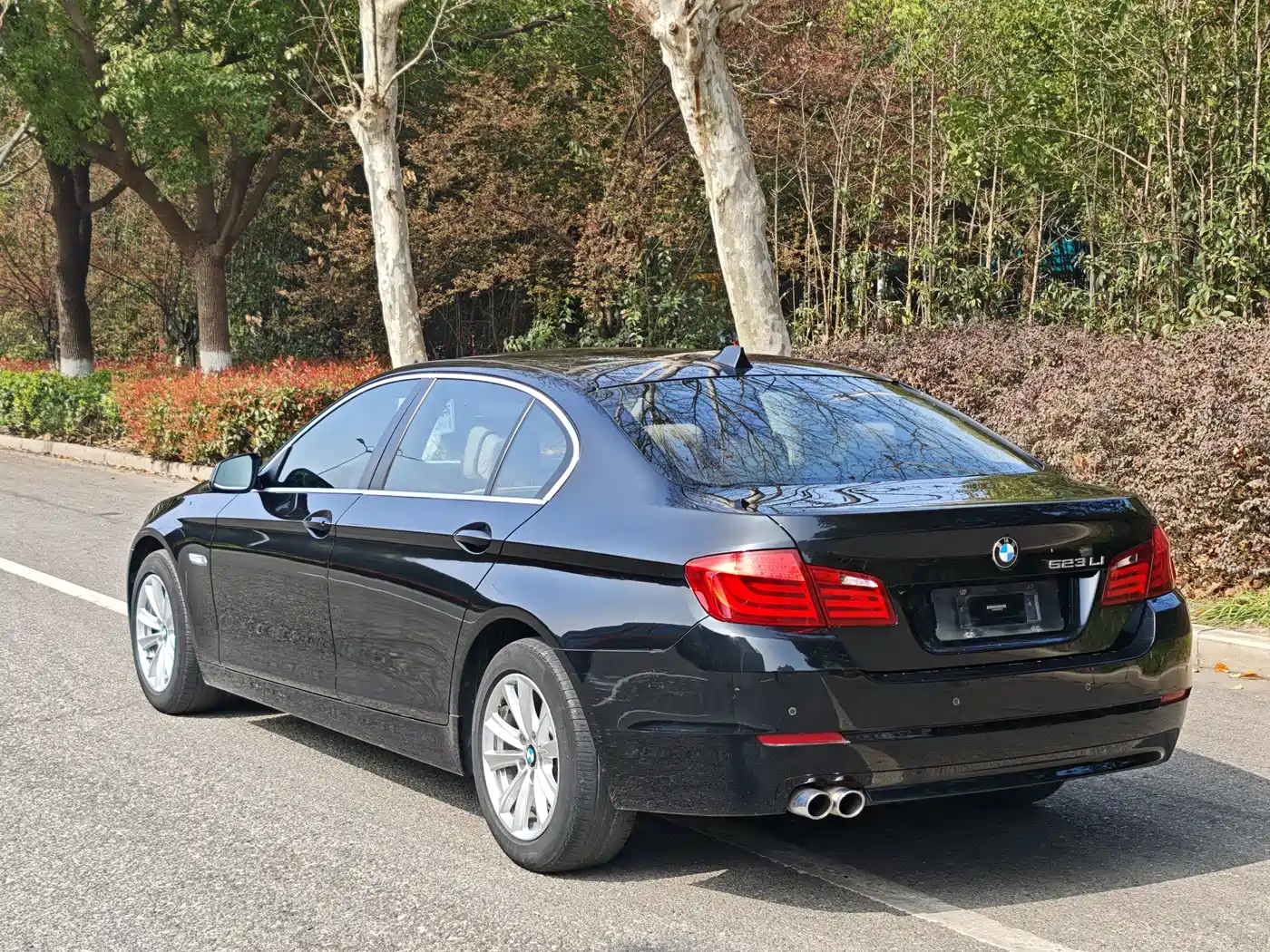 BMW 5 Series 2012 523Li Luxury фото 14